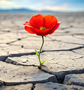 kalendarz wieloplanszowy Inspiracja pa�dziernik