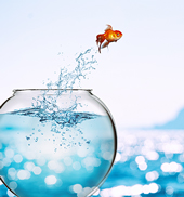 kalendarz wieloplanszowy Inspiracja wrzesie�