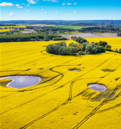 kalendarz wieloplanszowy Natura czerwiec