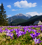 kalendarz wieloplanszowy Tatry kwiecień